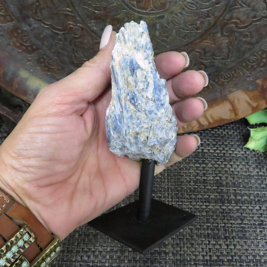 Blue Kyanite Cluster on Metal Stand