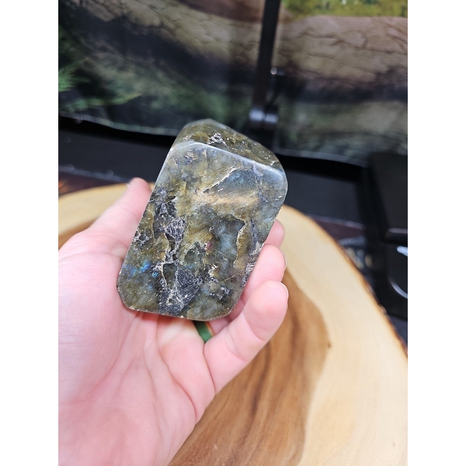 1.48LB 1Pcs Natural Rainbow Labradorite Crystal Spectrolite Stone | Mineral Specimens | Wiccan Center