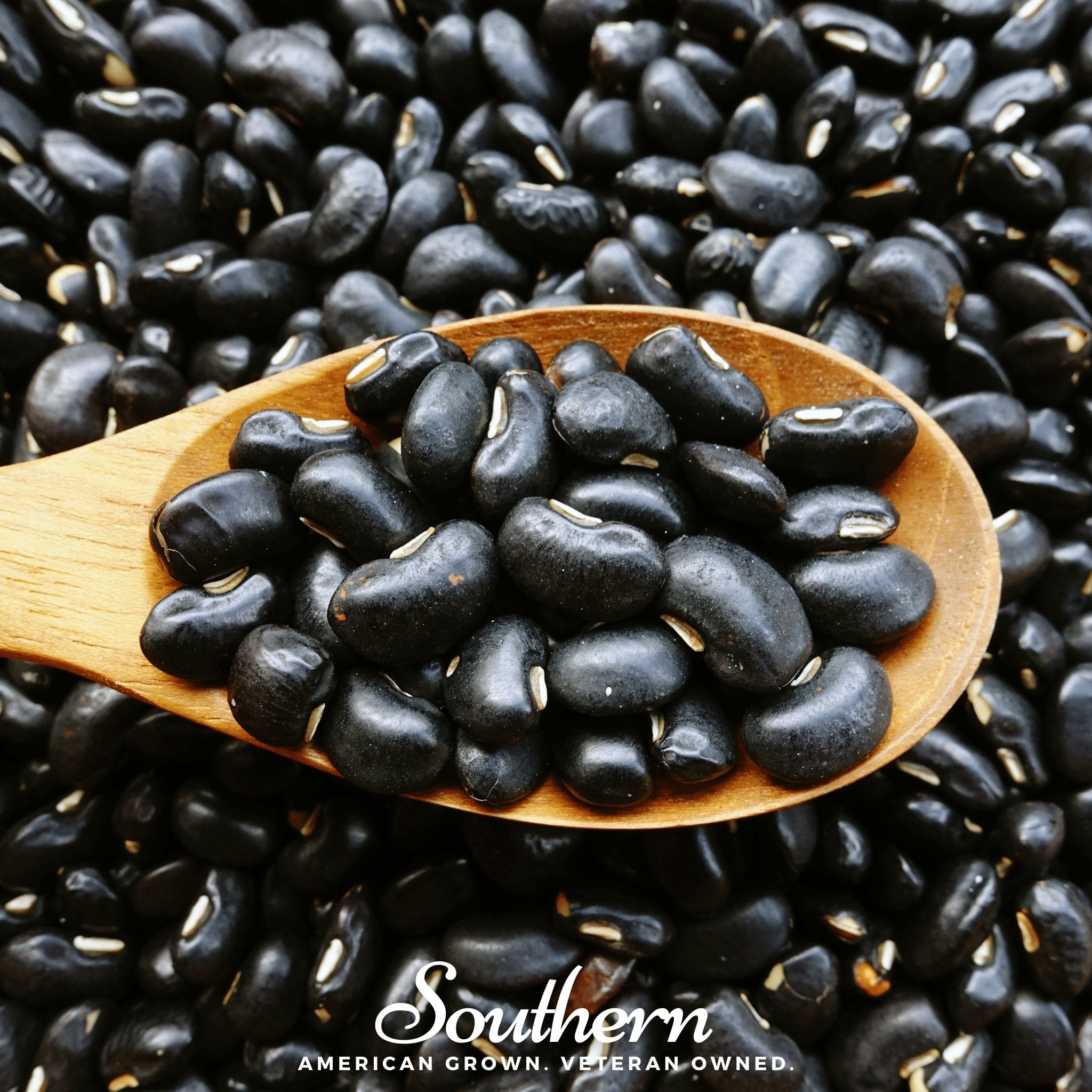 Black Coco Bean (Bush) – 30 Seeds | | Wiccan Center