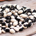 Calypso Orca Bean (Bush) – 25 Seeds | Seeds | Wiccan Center