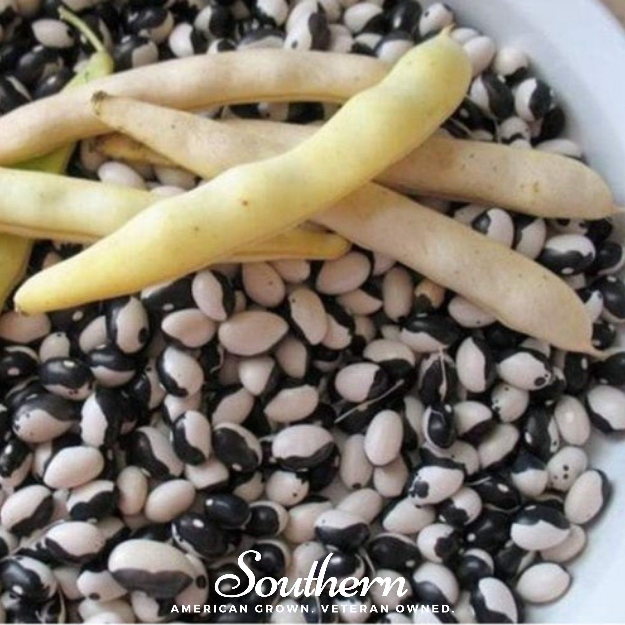 Calypso Orca Bean (Bush) – 25 Seeds | Seeds | Wiccan Center