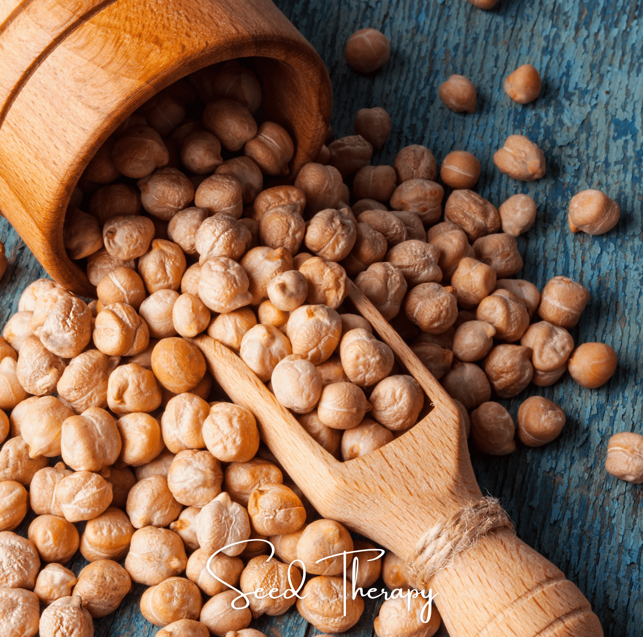 Garbanzo Bean – Chickpea – 20 Seeds | Seeds | Wiccan Center