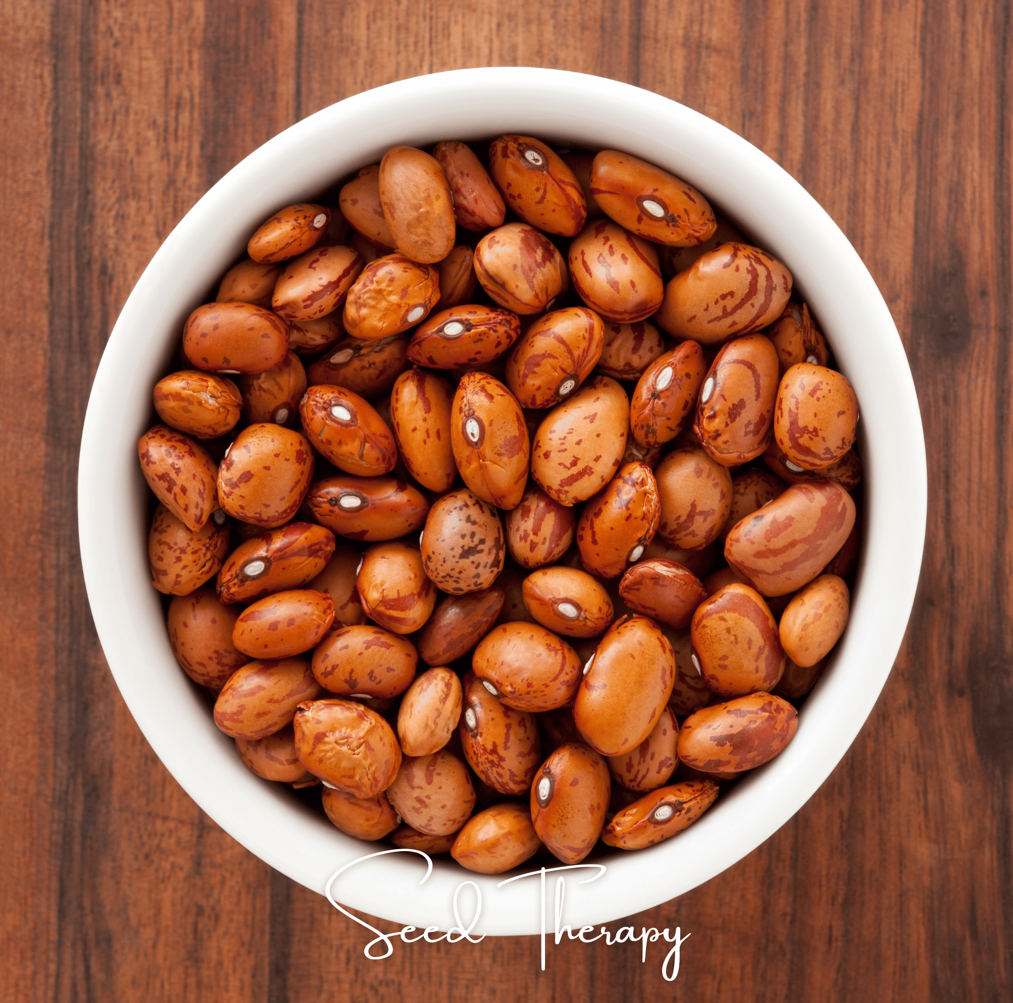 Pinto Bean – 20 Seeds | Seeds | Wiccan Center