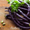 Royal Burgundy Bean (Bush) – 50 Seeds | | Wiccan Center