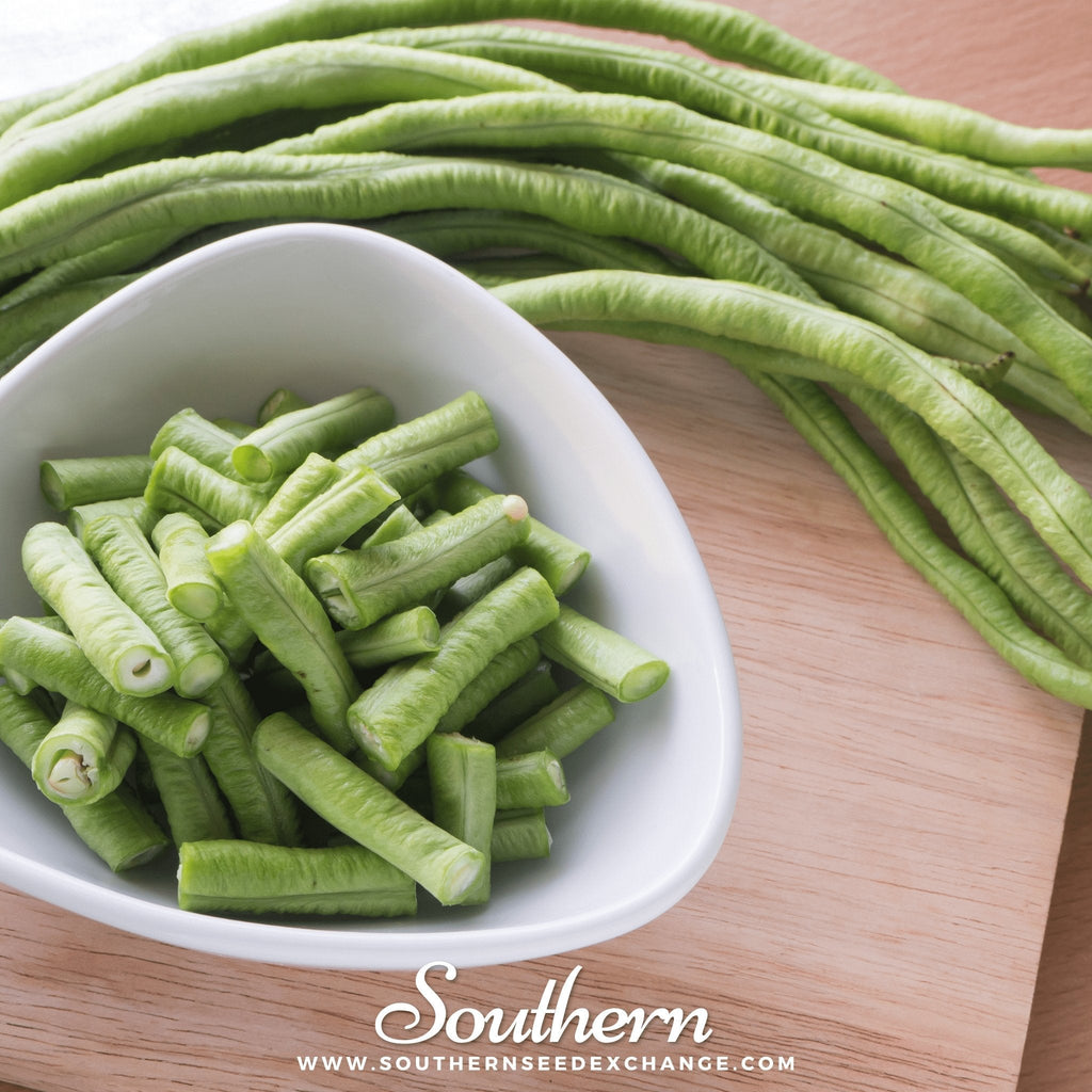 Yard Long Green Bean (Pole) – 15 Seeds | | Wiccan Center