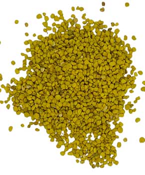 Bee Pollen - Granules (1oz) | Herbs | Wiccan Center