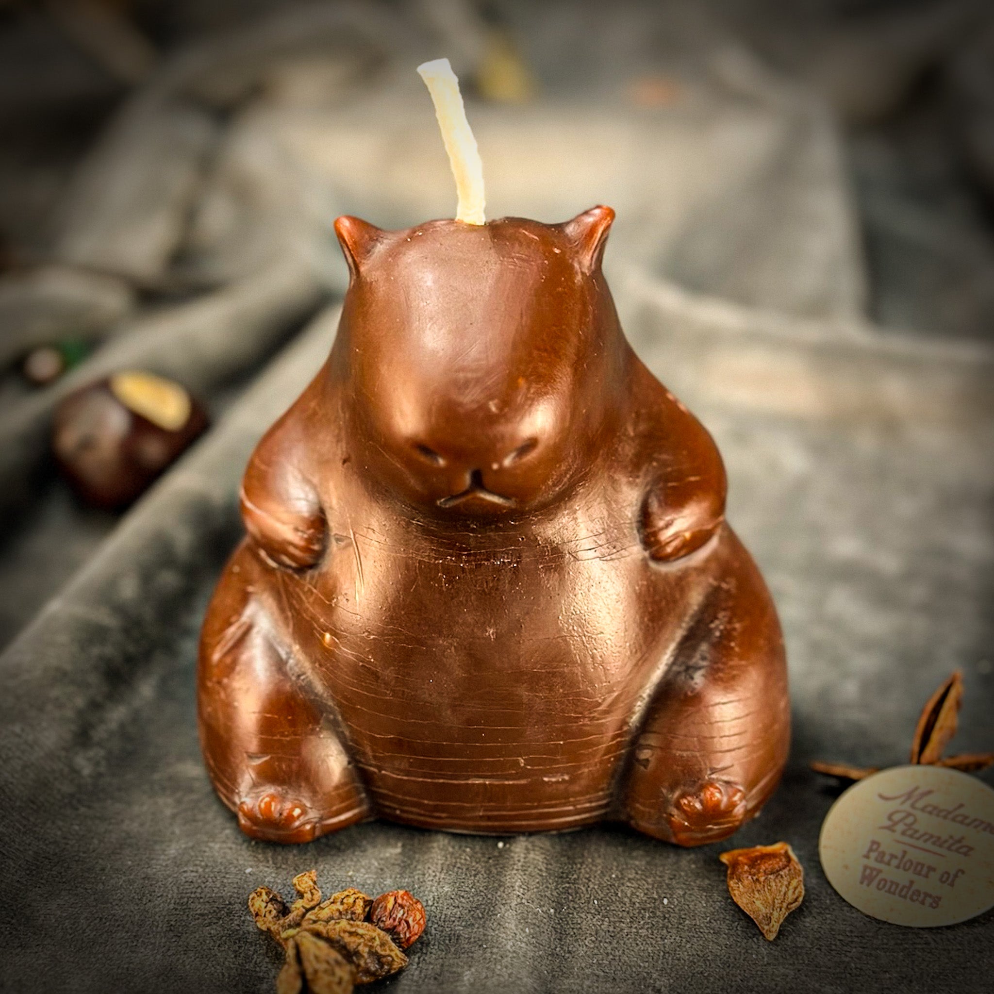 Cuddly Capybara Cooperation Candle Spell Kit - Harmony & Teamwork | Candle Spell Kit | Wiccan Center
