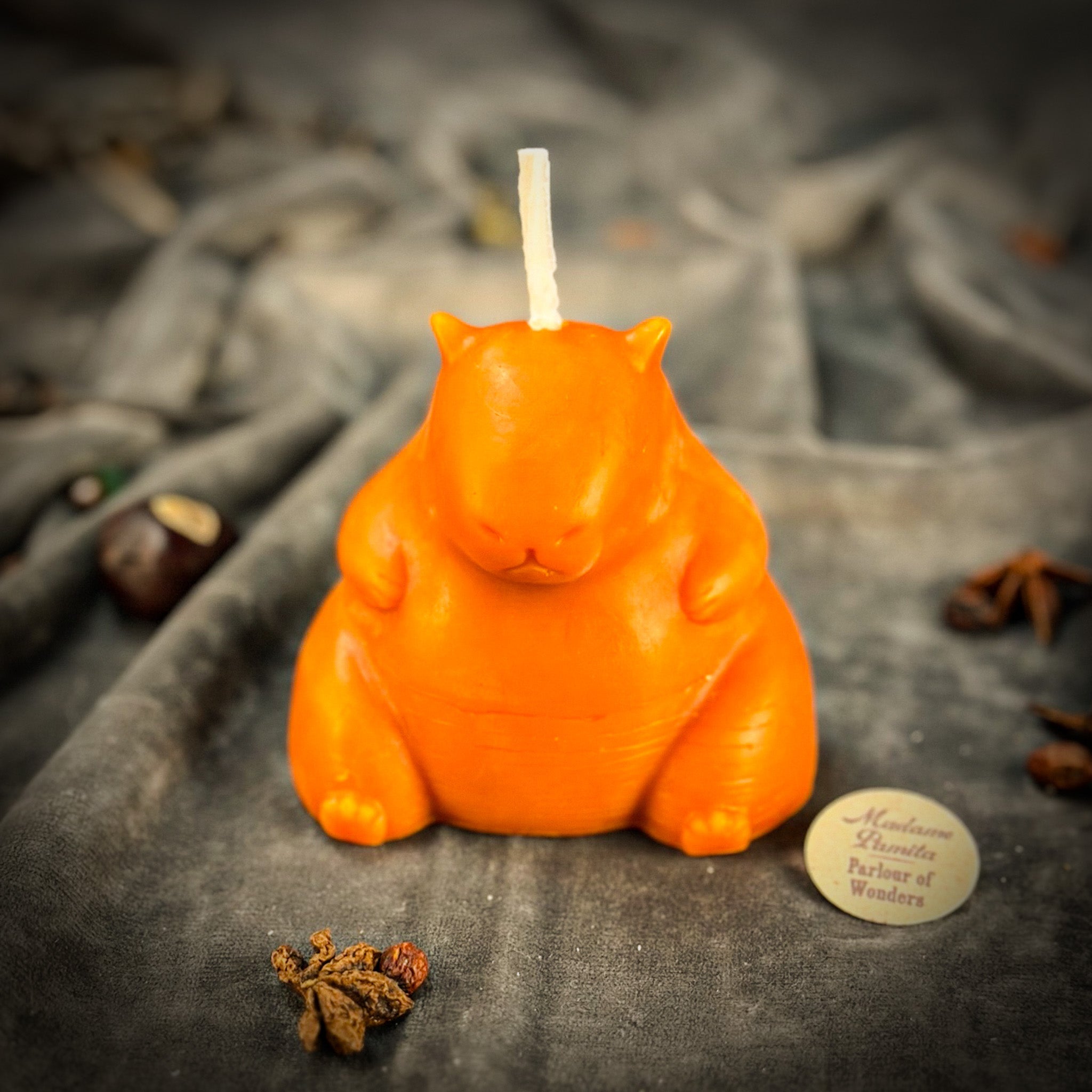 Cuddly Capybara Cooperation Candle Spell Kit - Harmony & Teamwork | Candle Spell Kit | Wiccan Center