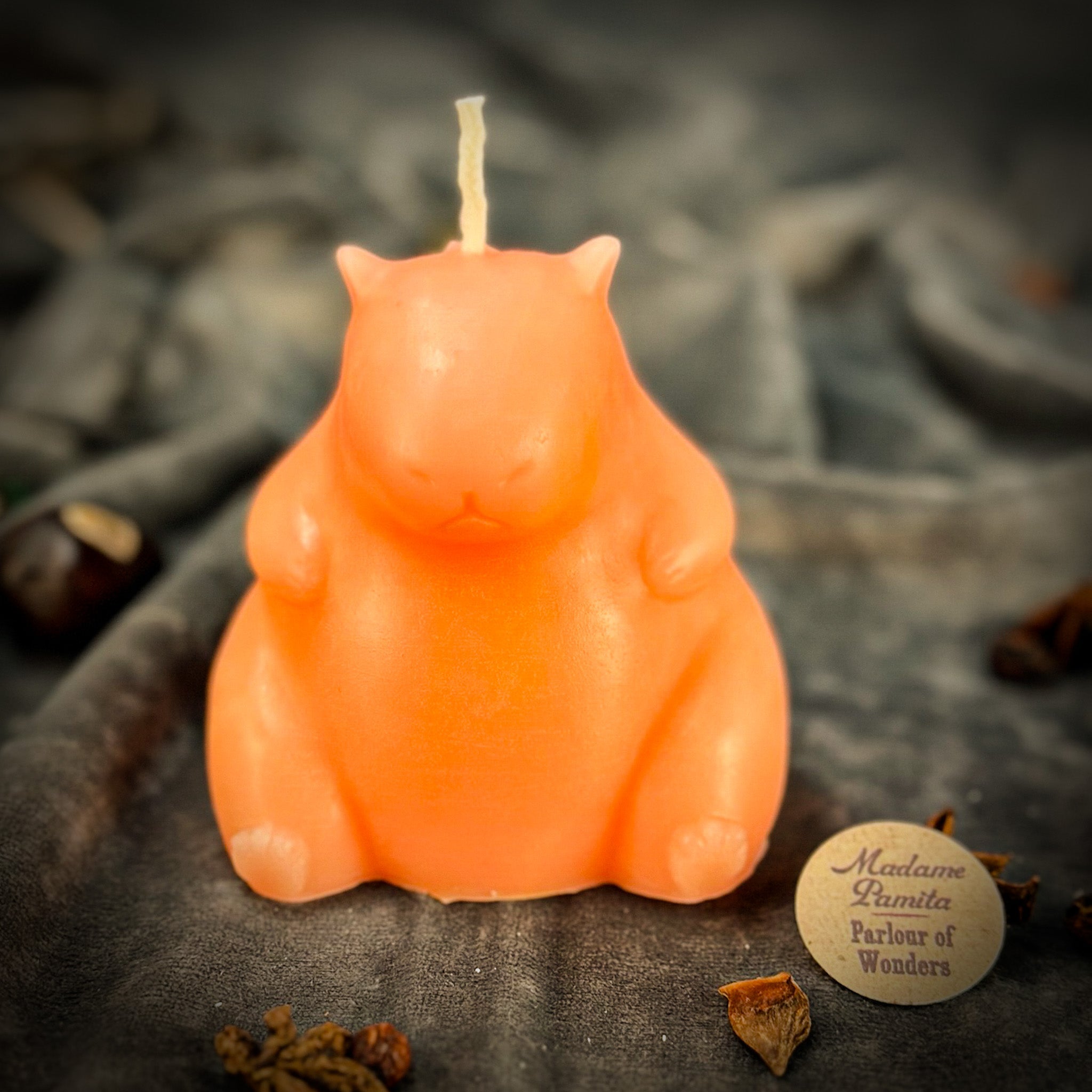 Cuddly Capybara Cooperation Candle Spell Kit - Harmony & Teamwork | Candle Spell Kit | Wiccan Center