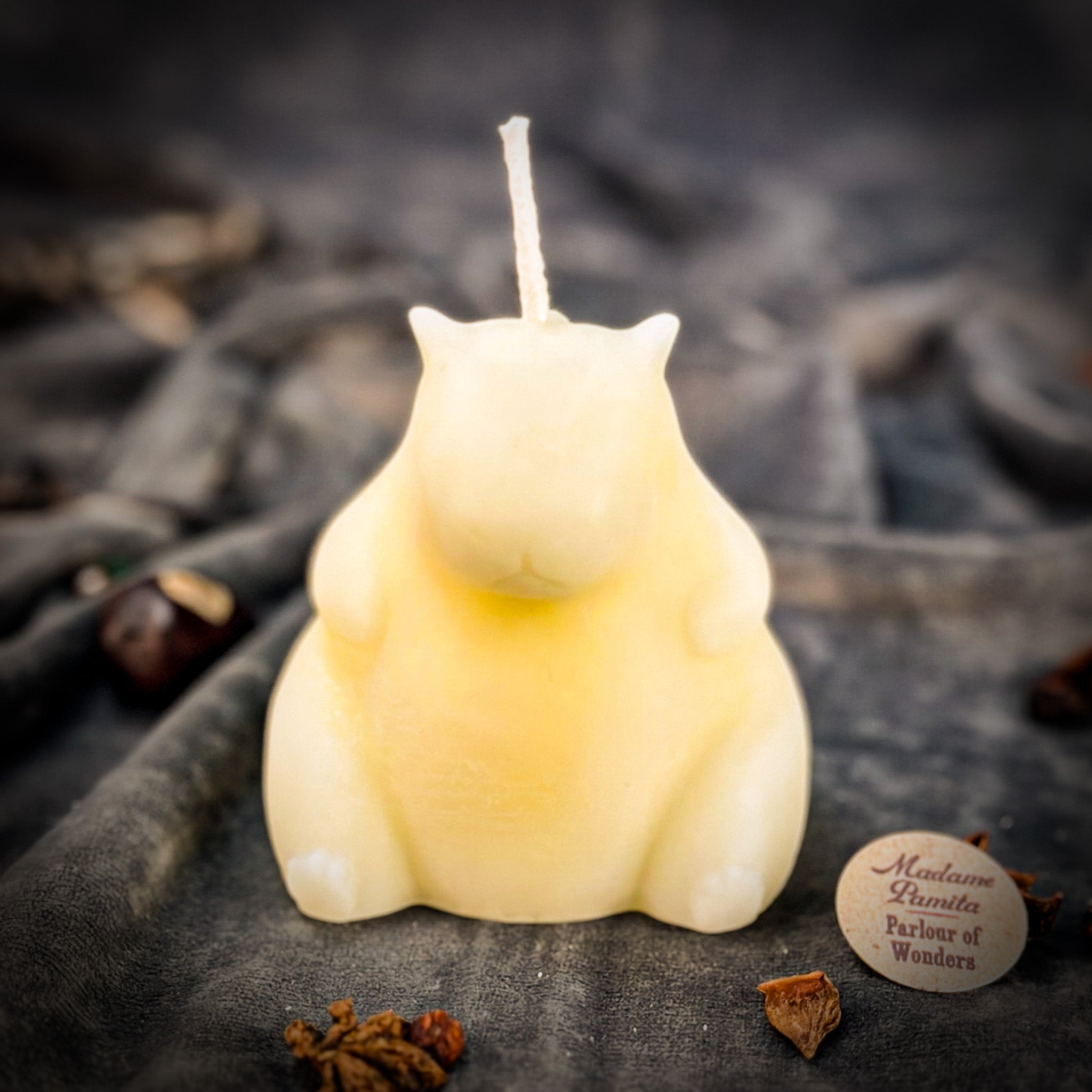 Cuddly Capybara Cooperation Candle Spell Kit - Harmony & Teamwork | Candle Spell Kit | Wiccan Center