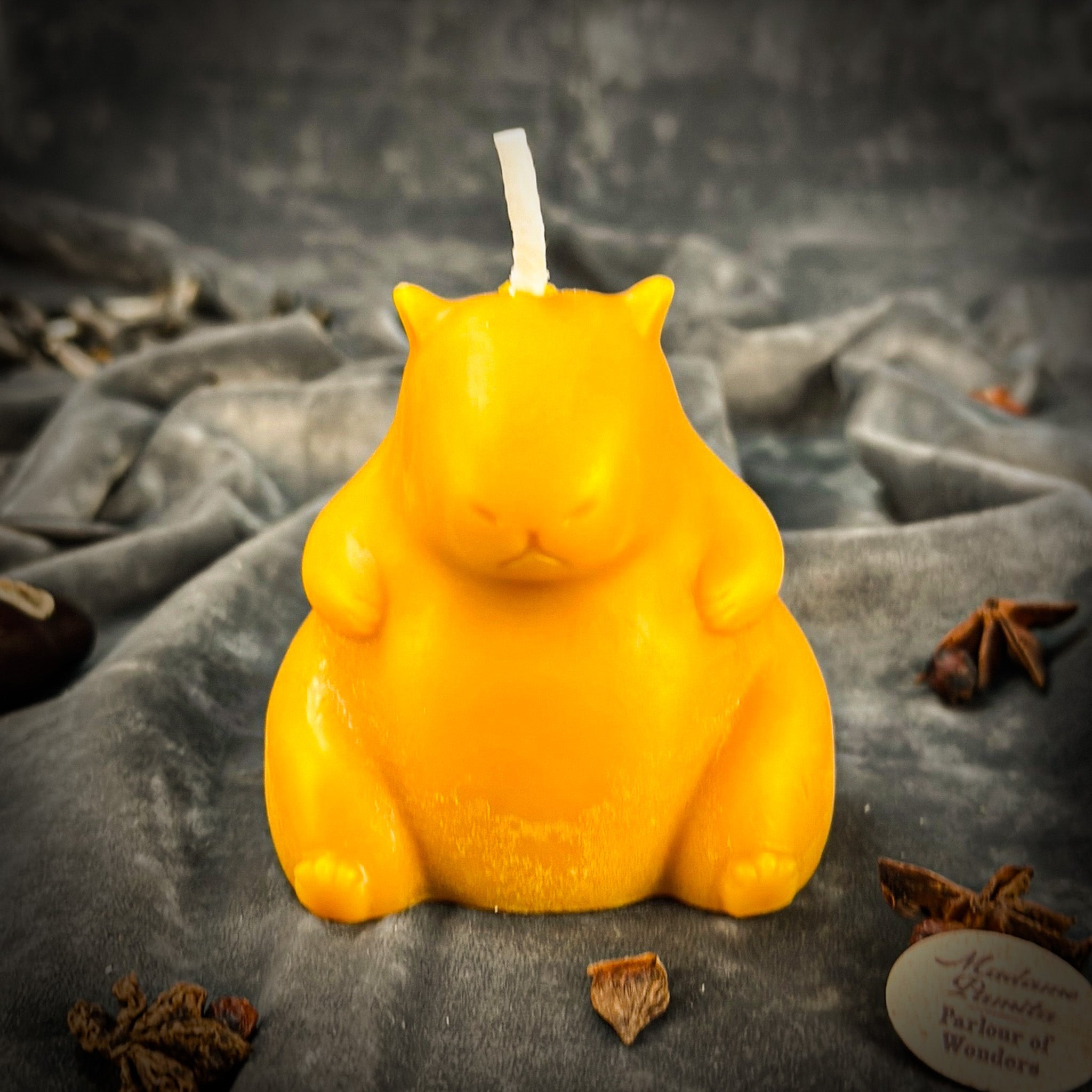 Cuddly Capybara Cooperation Candle Spell Kit - Harmony & Teamwork | Candle Spell Kit | Wiccan Center