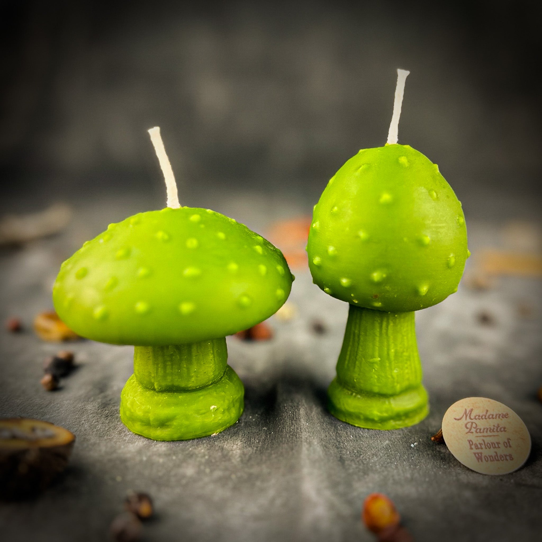 Mystical Mushroom Duo Candle Spell Kit - Forest Wisdom & Shadow Work Magic | Candle Spell Kit | Wiccan Center