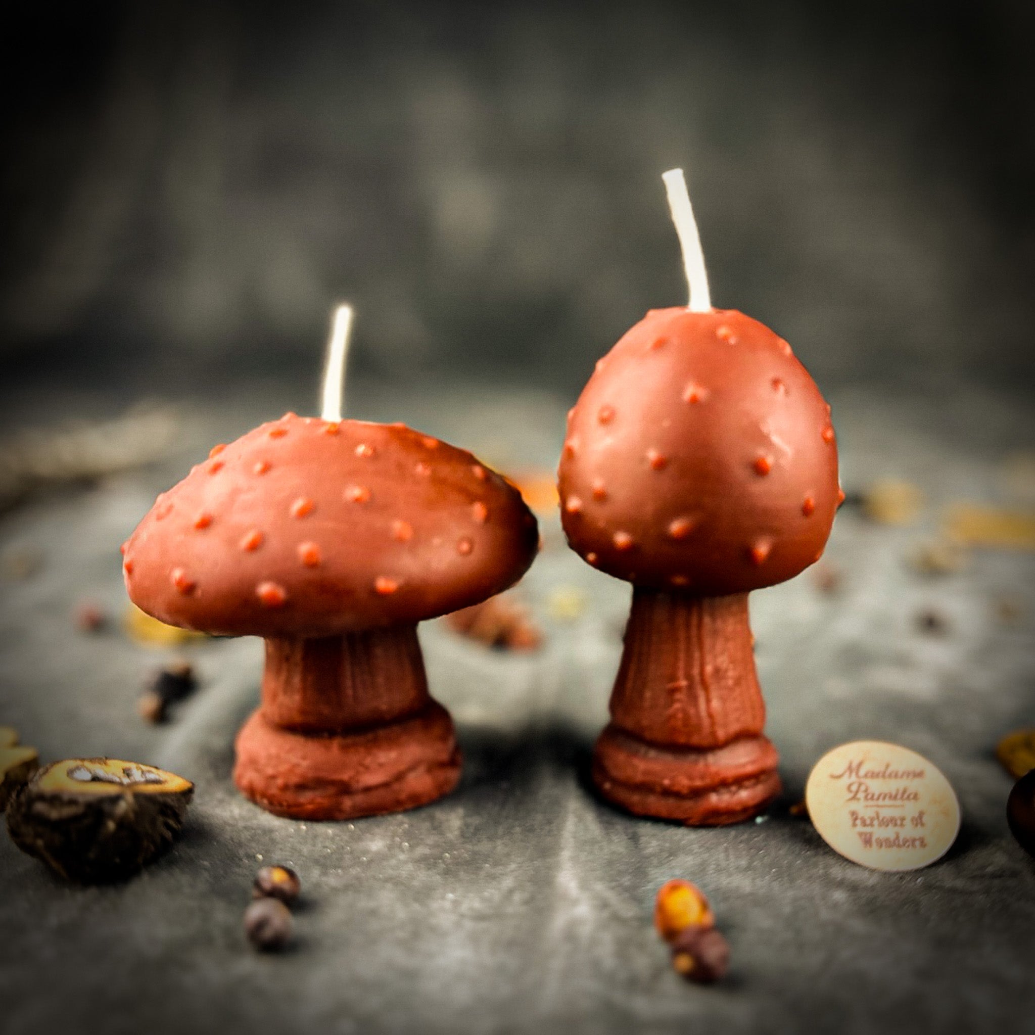 Mystical Mushroom Duo Candle Spell Kit - Forest Wisdom & Shadow Work Magic | Candle Spell Kit | Wiccan Center
