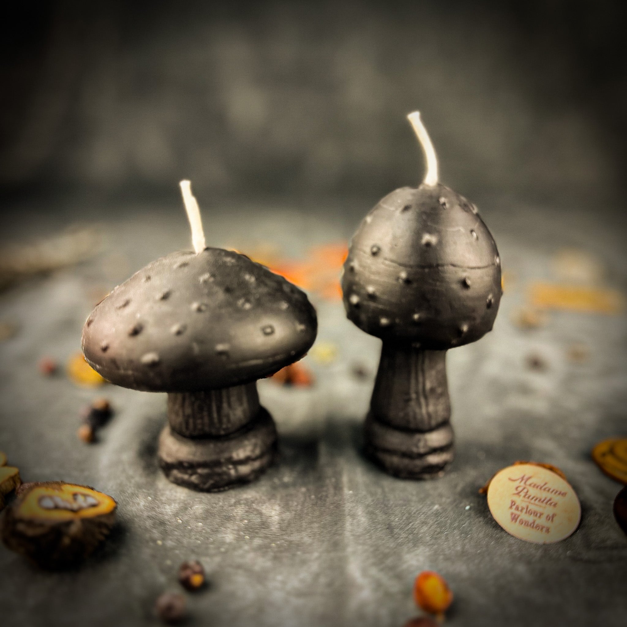 Mystical Mushroom Duo Candle Spell Kit - Forest Wisdom & Shadow Work Magic | Candle Spell Kit | Wiccan Center