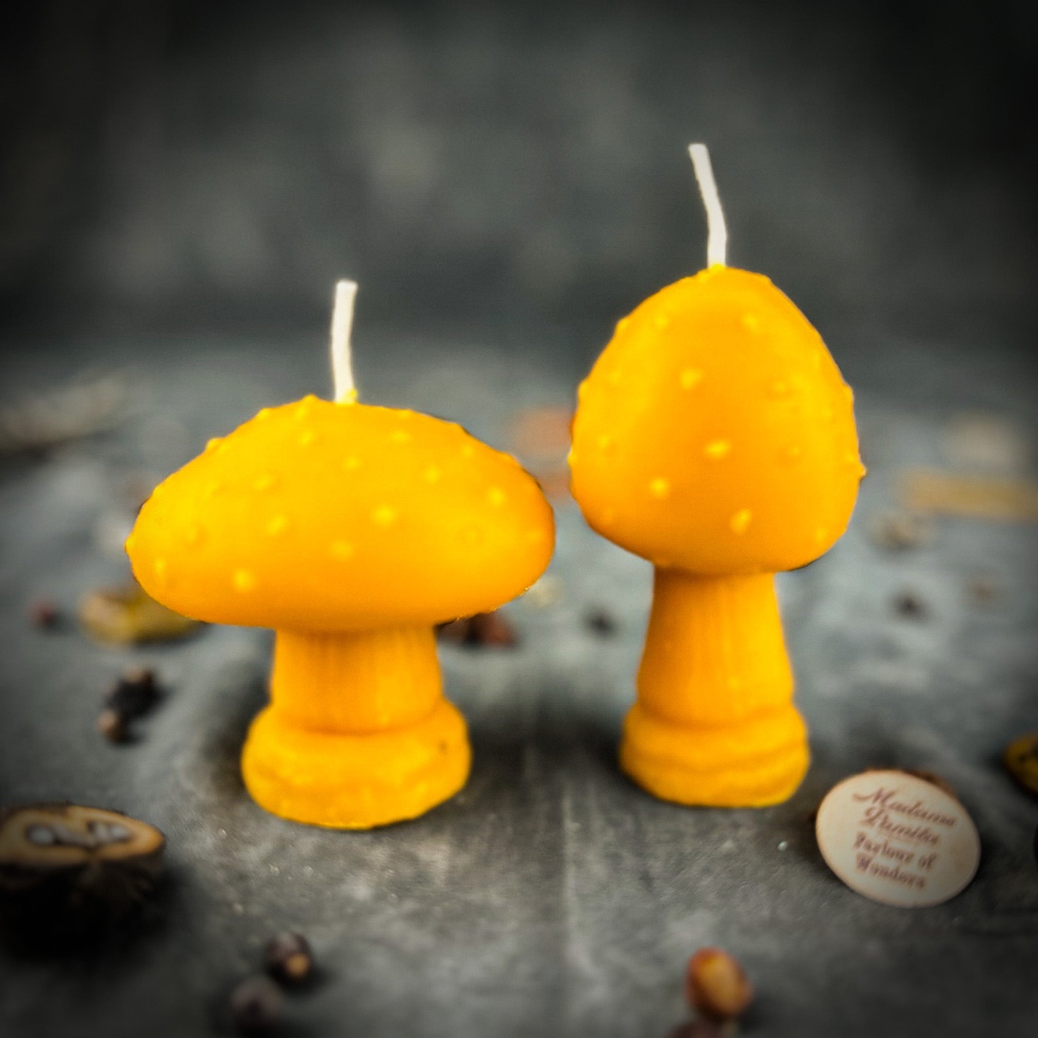 Mystical Mushroom Duo Candle Spell Kit - Forest Wisdom & Shadow Work Magic | Candle Spell Kit | Wiccan Center