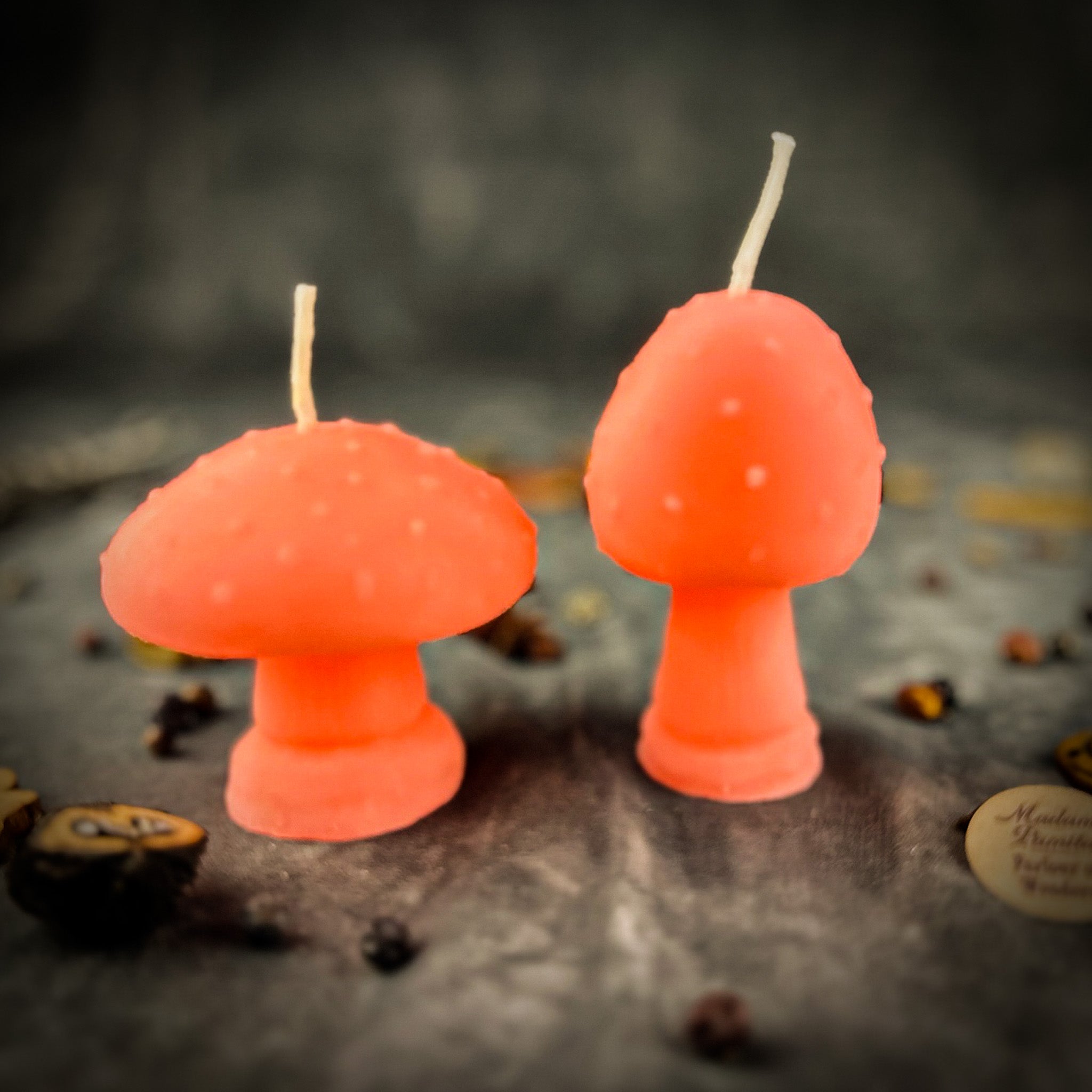 Mystical Mushroom Duo Candle Spell Kit - Forest Wisdom & Shadow Work Magic | Candle Spell Kit | Wiccan Center