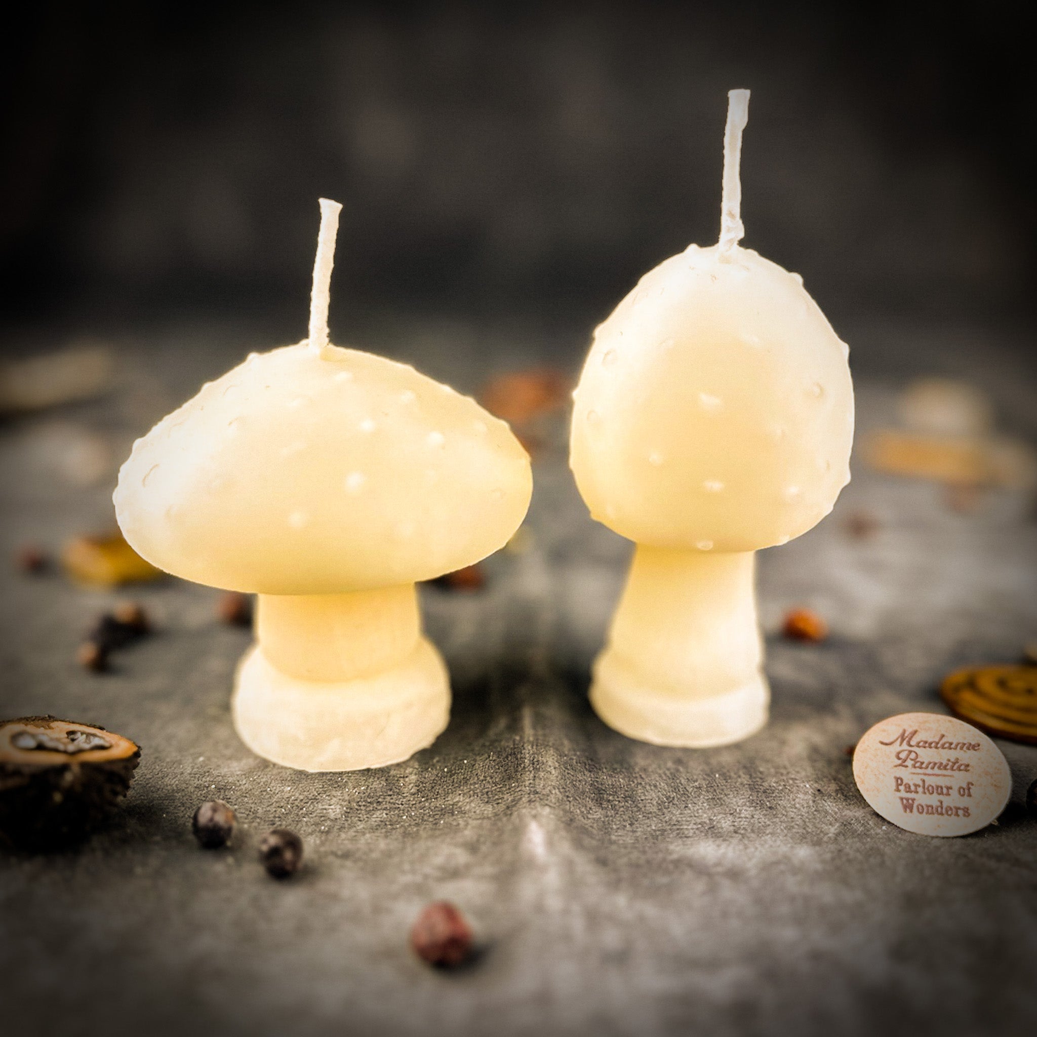 Mystical Mushroom Duo Candle Spell Kit - Forest Wisdom & Shadow Work Magic | Candle Spell Kit | Wiccan Center