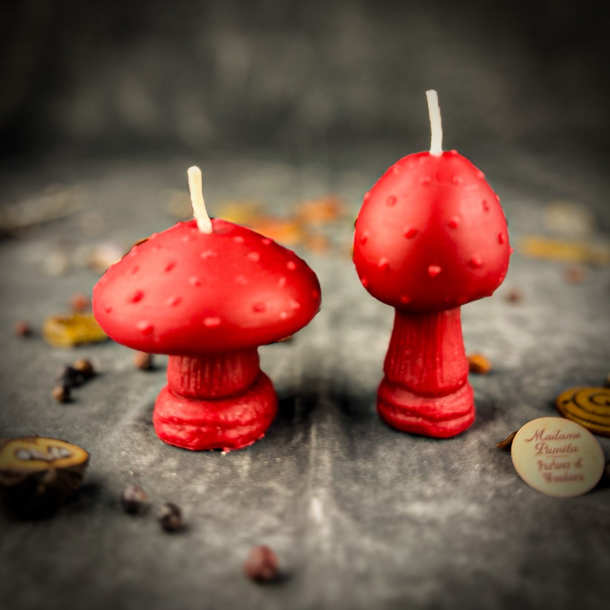 Mystical Mushroom Duo Candle Spell Kit - Forest Wisdom & Shadow Work Magic | Candle Spell Kit | Wiccan Center