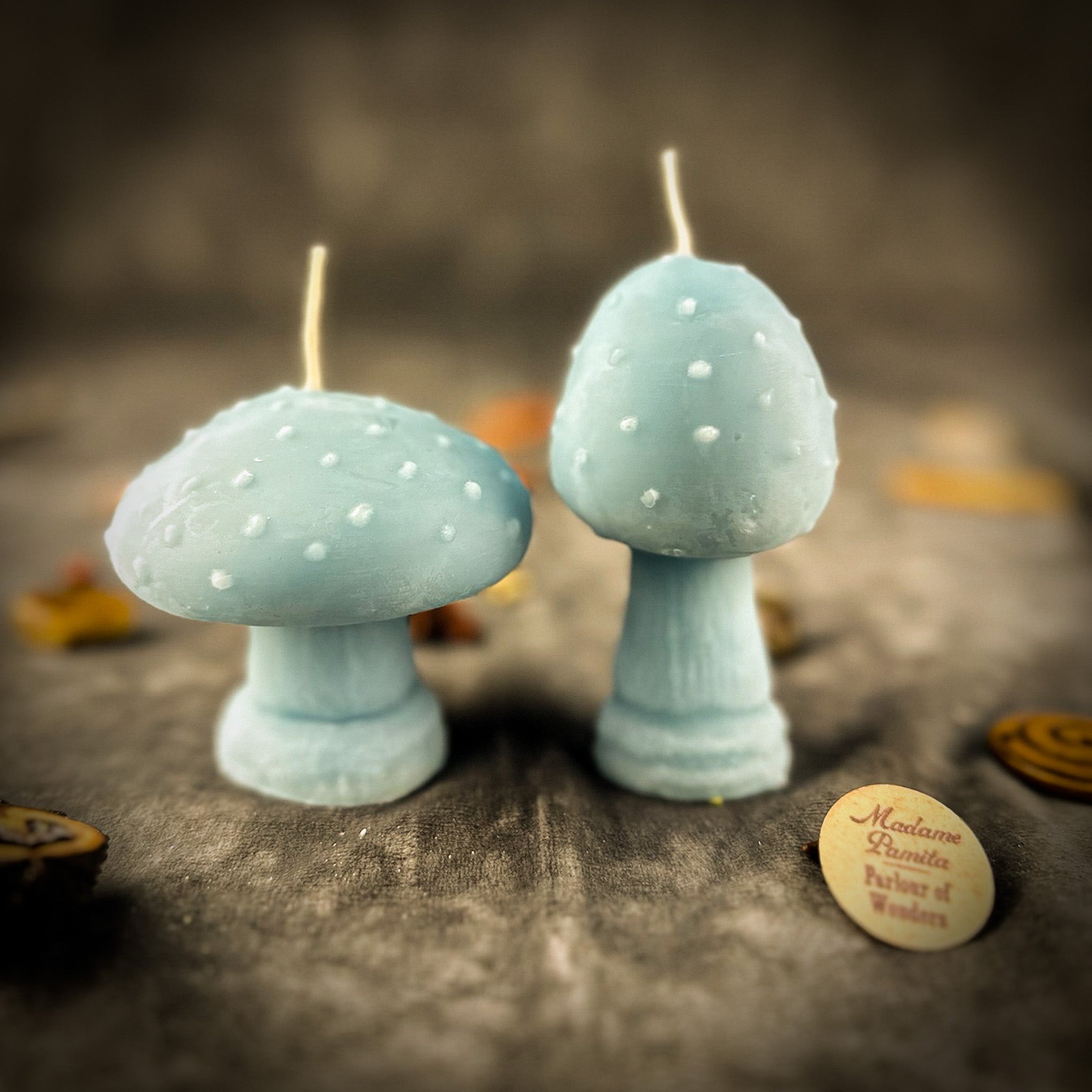 Mystical Mushroom Duo Candle Spell Kit - Forest Wisdom & Shadow Work Magic | Candle Spell Kit | Wiccan Center