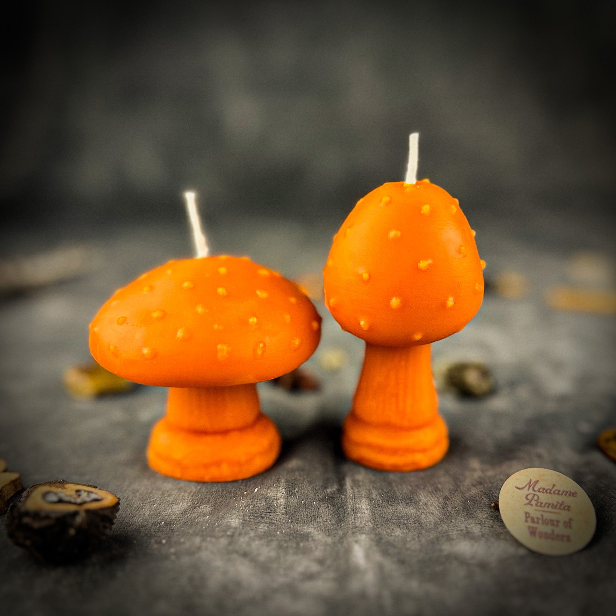 Mystical Mushroom Duo Candle Spell Kit - Forest Wisdom & Shadow Work Magic | Candle Spell Kit | Wiccan Center