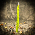 Stritennya Asparagus Candlemas Taper Candle Spell Kit - Renewal & Protection | Candle Spell Kit | Wiccan Center