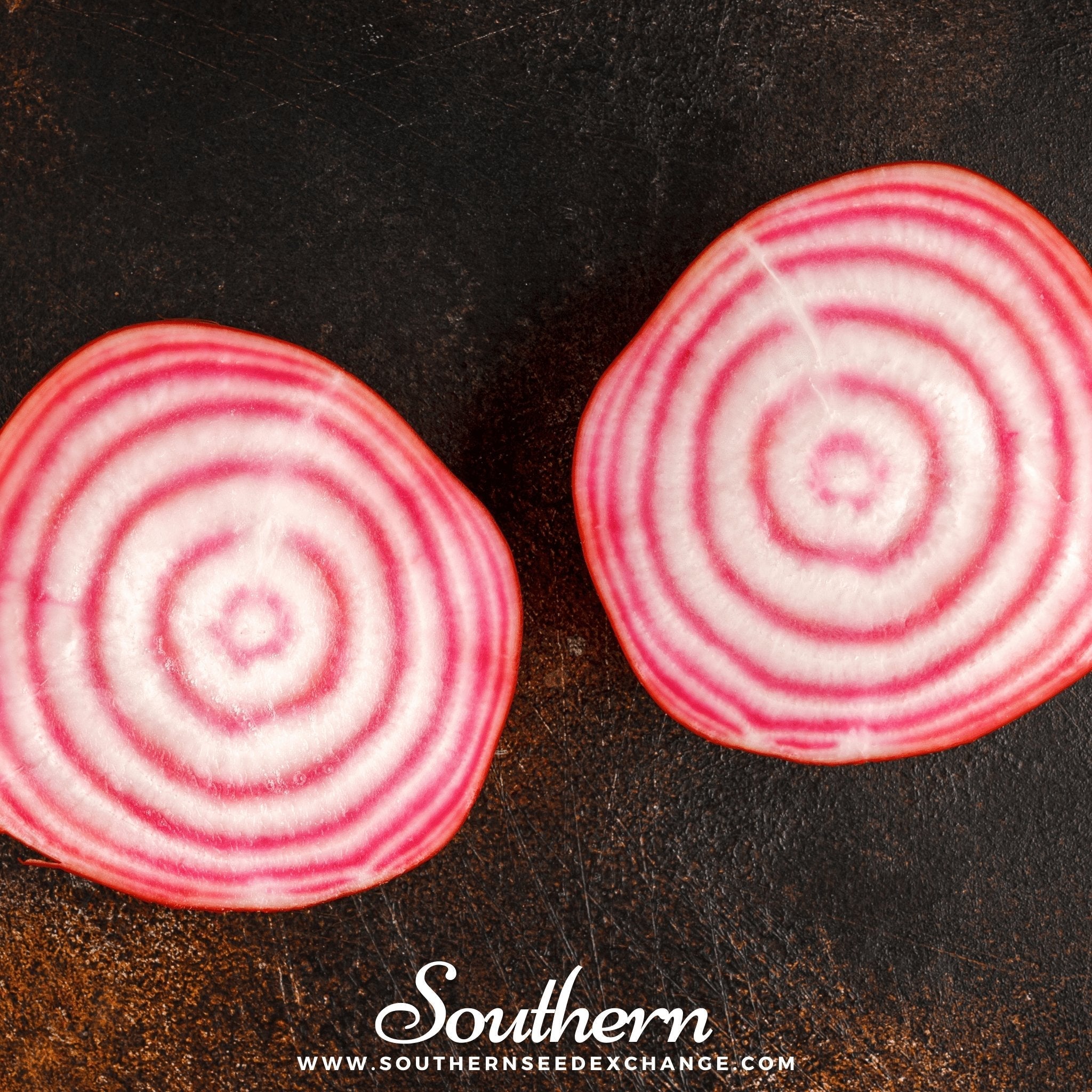 Chioggia Beet – 100 Seeds | Seeds | Wiccan Center