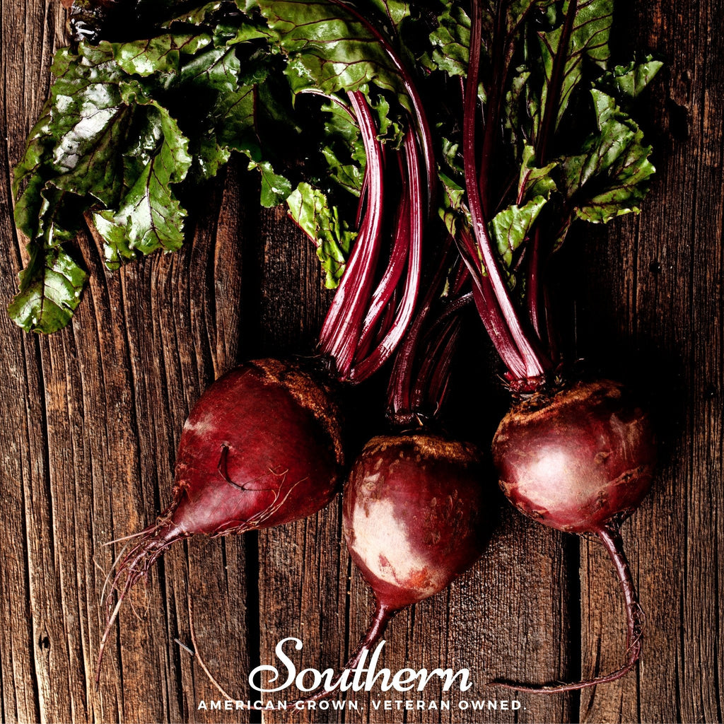 Detroit Dark Red Beet – 200 Seeds | Seeds | Wiccan Center