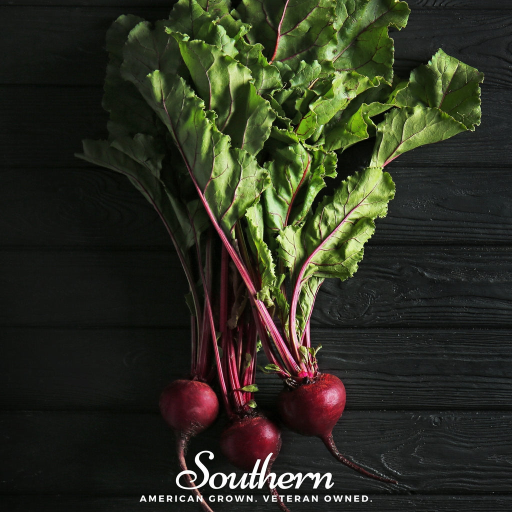 Detroit Dark Red Beet – 200 Seeds | Seeds | Wiccan Center