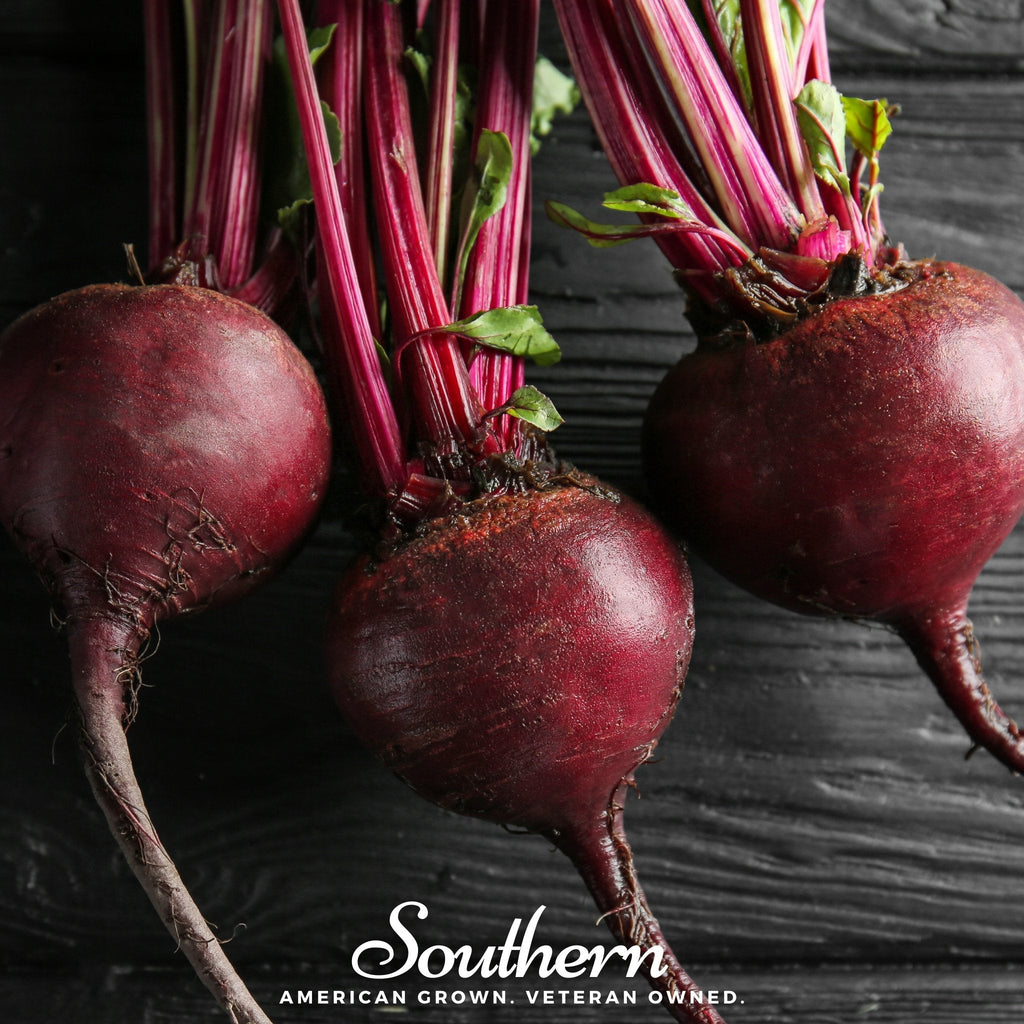 Detroit Dark Red Beet – 200 Seeds | Seeds | Wiccan Center