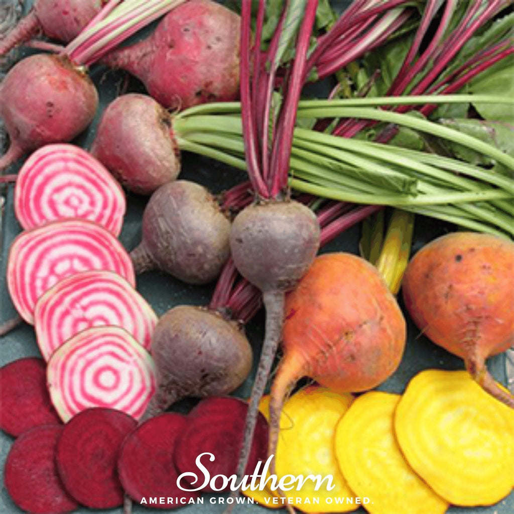 Gourmet Blend Beet – 50 Seeds | Seeds | Wiccan Center