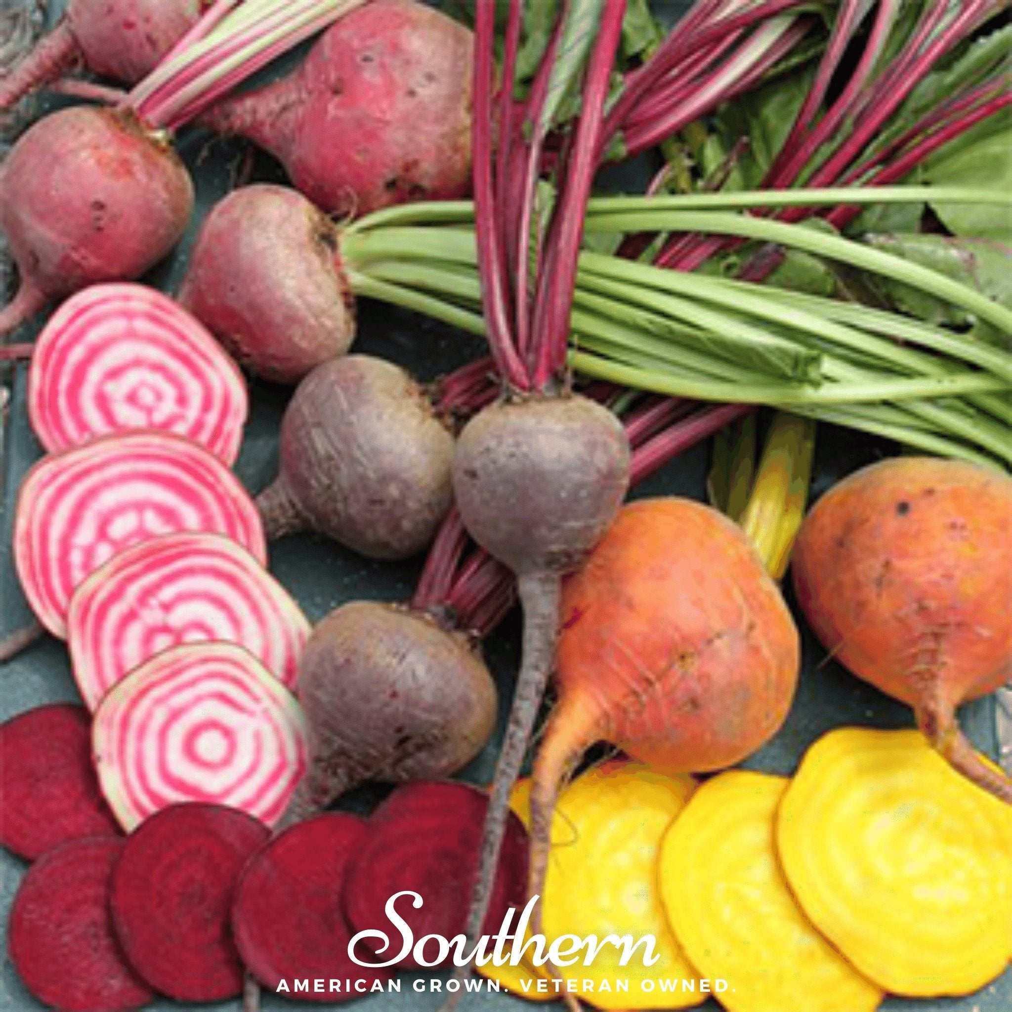 Gourmet Blend Beet – 50 Seeds | Seeds | Wiccan Center