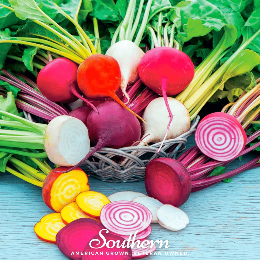 Gourmet Blend Beet – 50 Seeds | Seeds | Wiccan Center