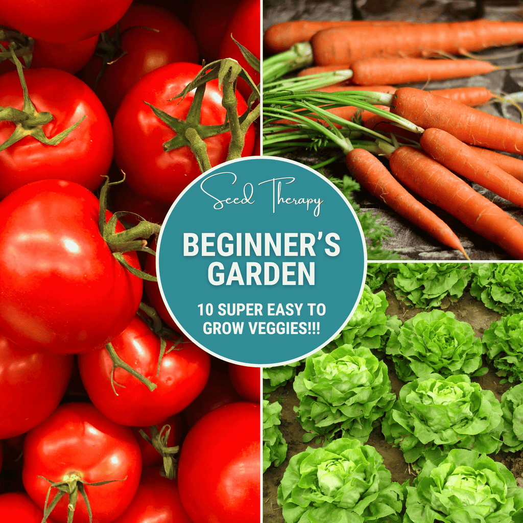 Beginner Vegetable Seed Collection – 10 Varieties | Seeds | Wiccan Center