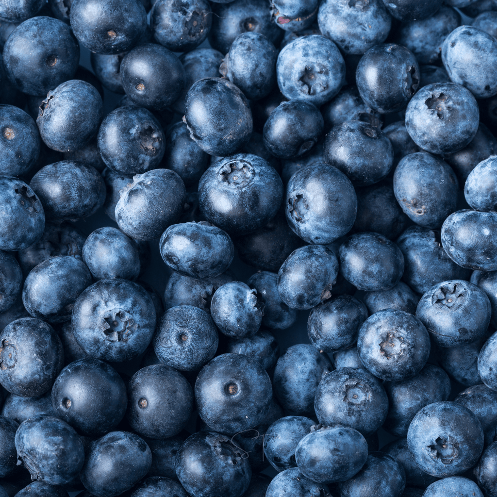 Berry Seed Collection (Elderberry • Blueberry • Strawberry) | Seeds | Wiccan Center