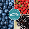 Berry Seed Collection (Elderberry • Blueberry • Strawberry) | Seeds | Wiccan Center
