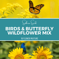Birds & Butterfly Wildflower Seed Mix (14 Varieties) – 1,000 Seeds | | Wiccan Center