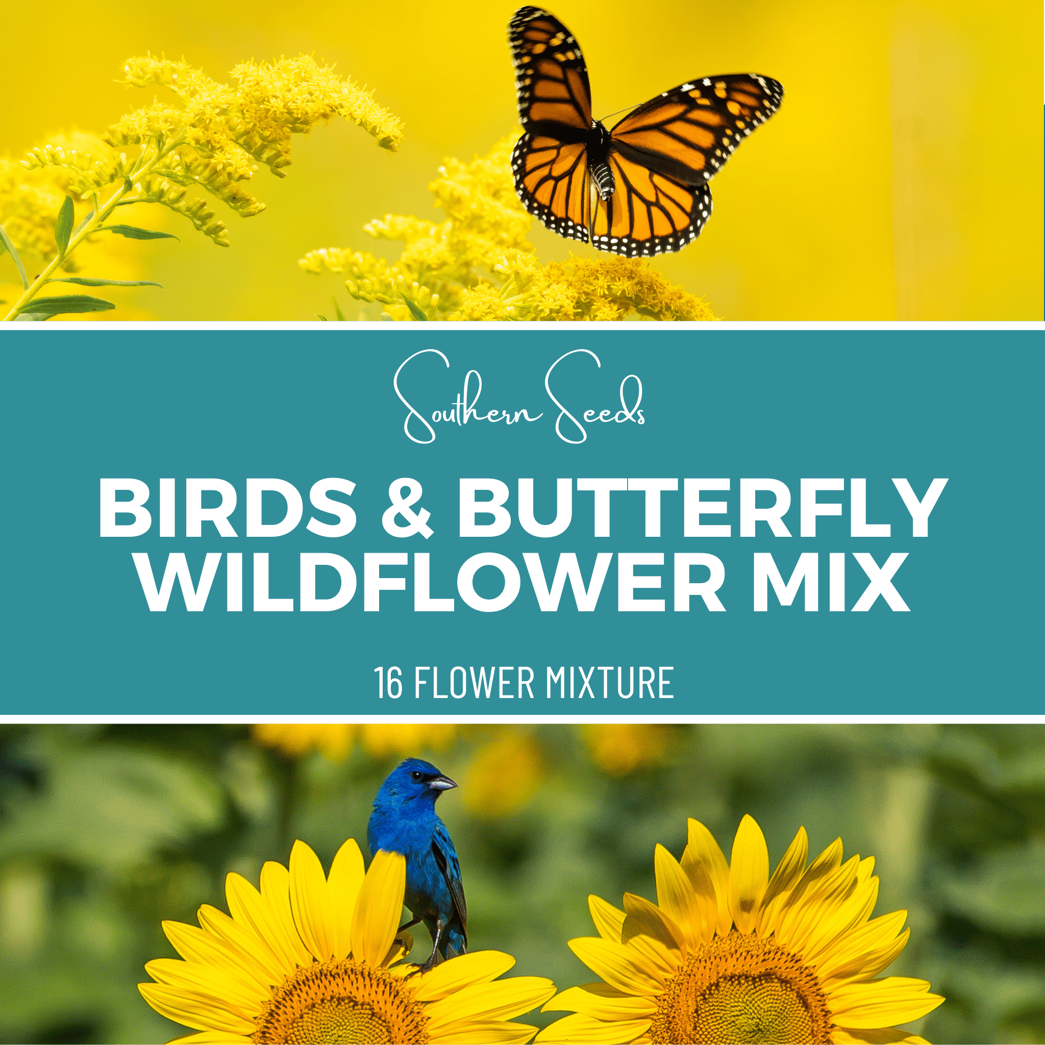 Birds & Butterfly Wildflower Seed Mix (14 Varieties) – 1,000 Seeds | | Wiccan Center
