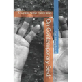 On Contemporary Seidr: A Guide to Norse Trance Work - Paperback | Books | Wiccan Center