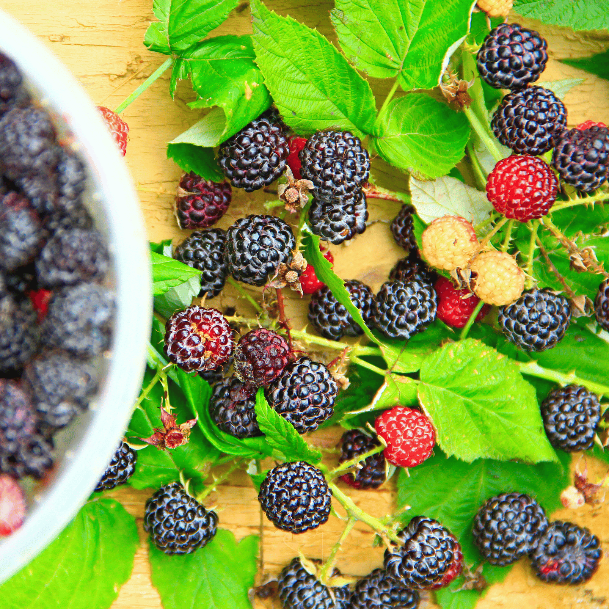 Black Raspberry – 30 Seeds | Seeds | Wiccan Center