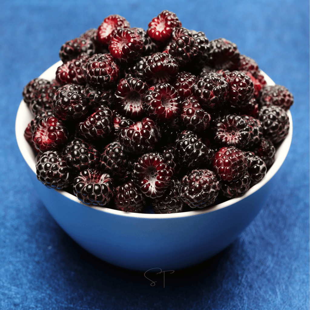 Black Raspberry – 30 Seeds | Seeds | Wiccan Center