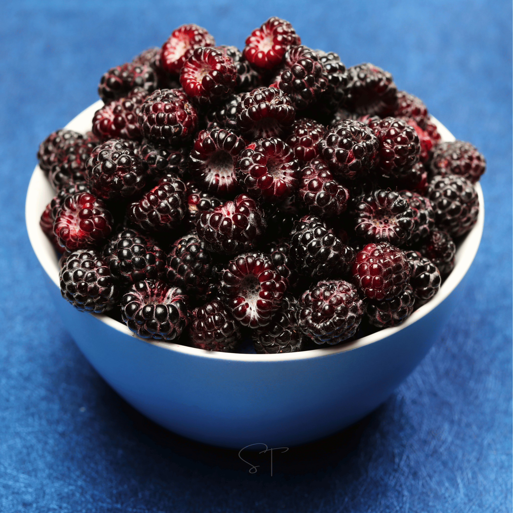 Black Raspberry – 30 Seeds | Seeds | Wiccan Center