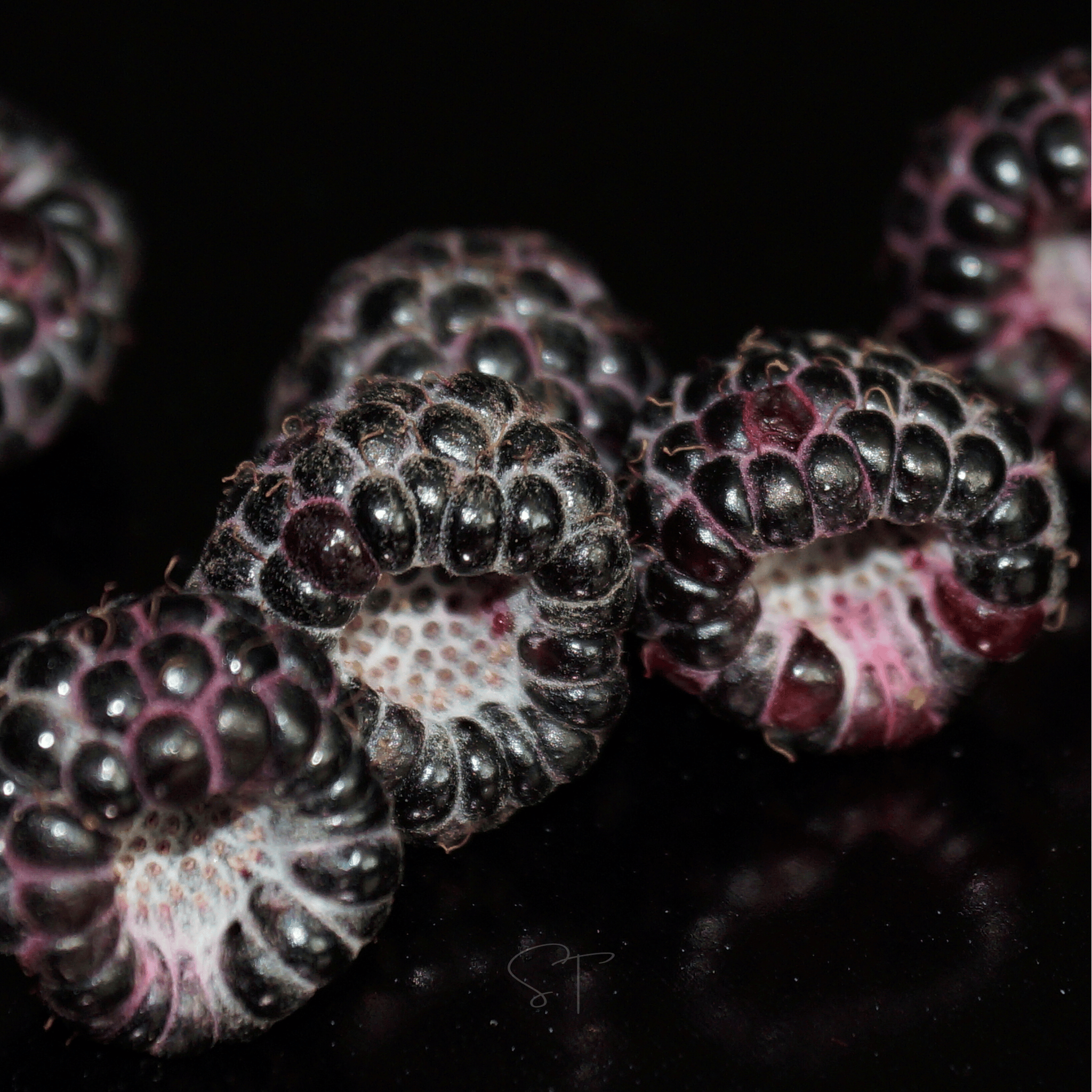 Black Raspberry – 30 Seeds | Seeds | Wiccan Center