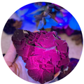 RARE Black Rose Fluorite Specimens, Fluoresce Red or Pink | | Wiccan Center