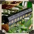 CHAKRA SYMBOLS BLACK COFFIN BOX. Wooden Incense Burner for Incense Stick & Cone Holder. | Tools & Accessories | Wiccan Center