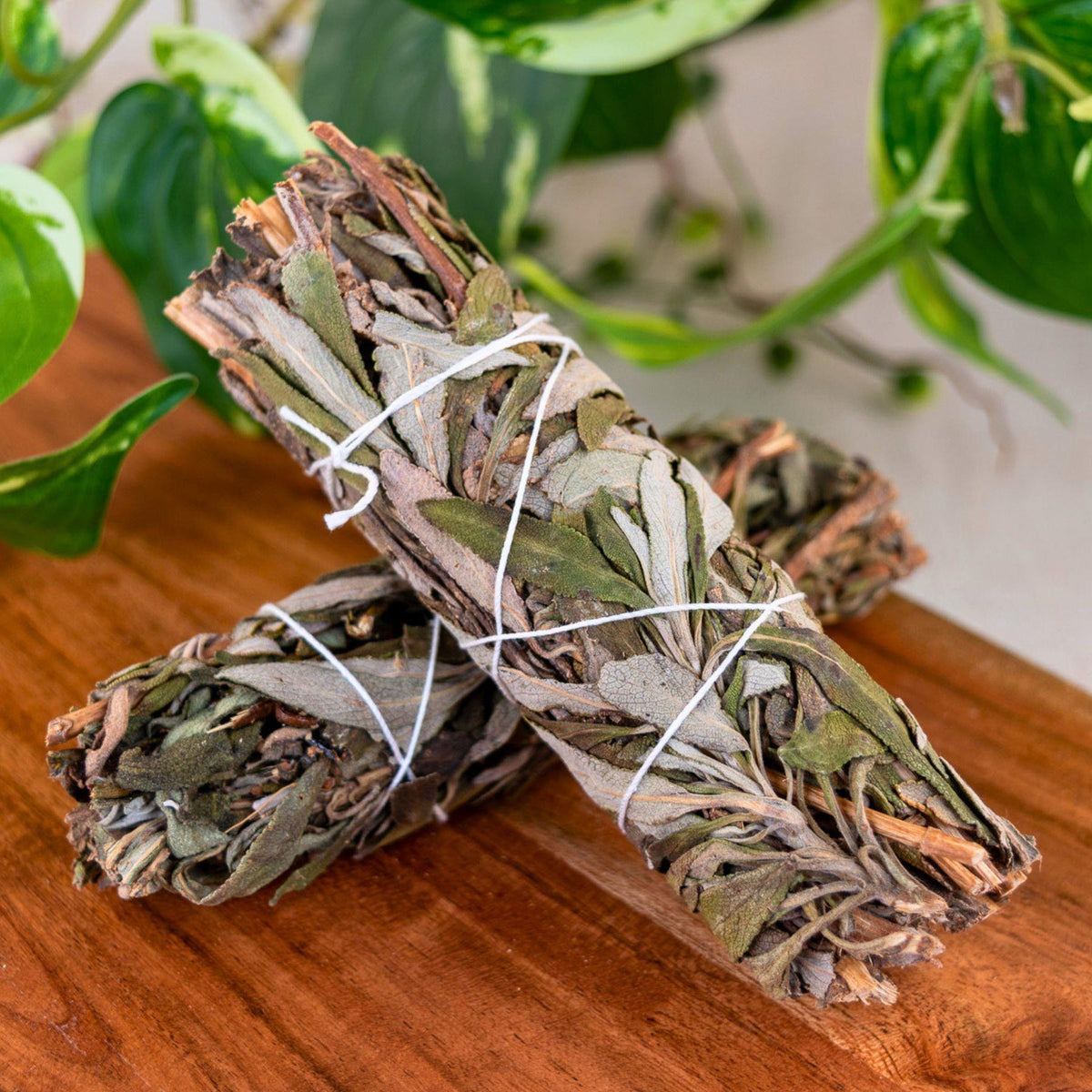 Black Sage Smudge Stick | Smudging | Wiccan Center