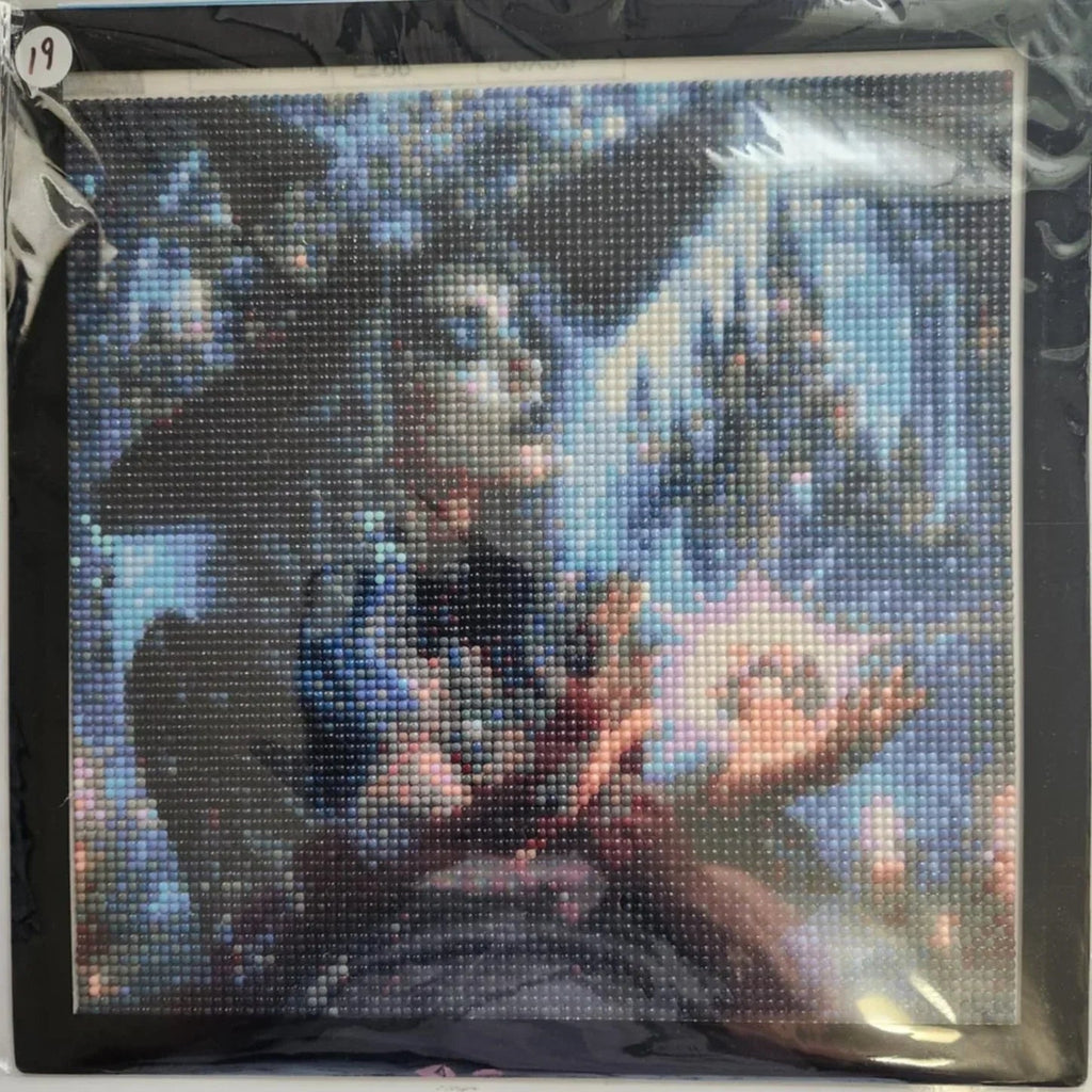Diamond Art 30 x 30 cm Pictures w/Magnetic Frame