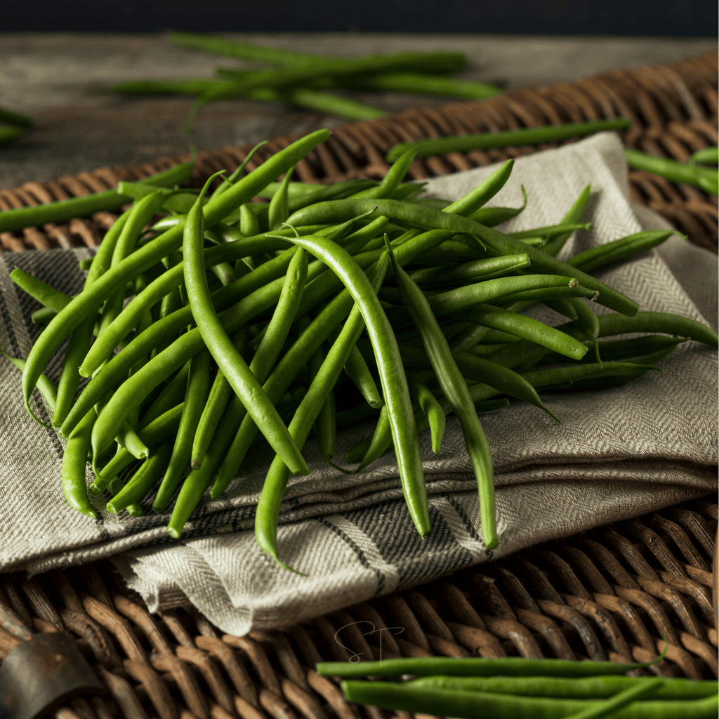 Blue Lake Bean (Pole) – 50 Seeds | Seeds | Wiccan Center