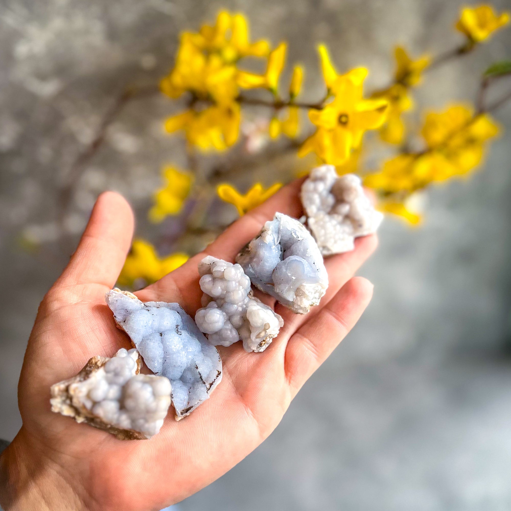 Raw Blue Chalcedony Specimens | | Wiccan Center