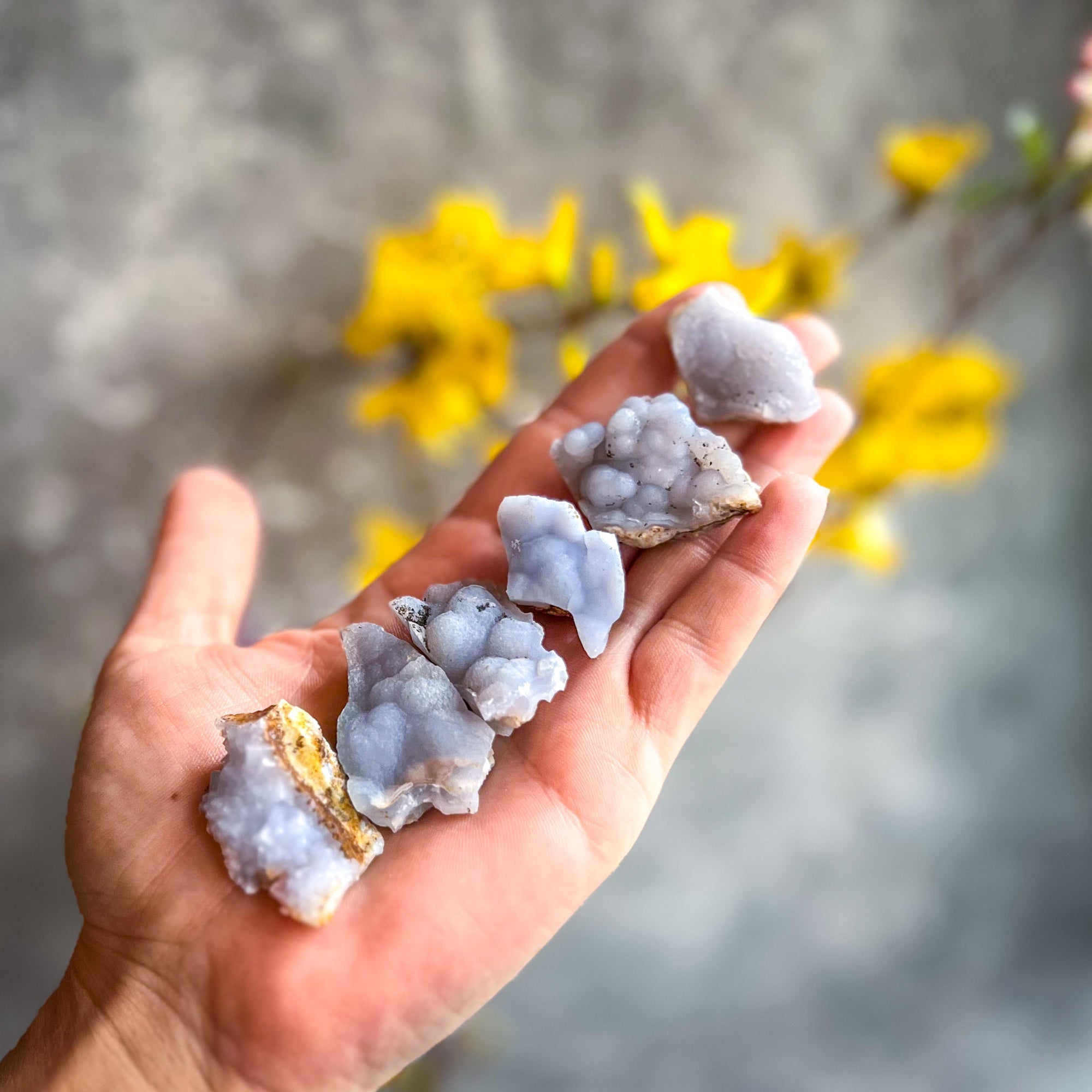 Raw Blue Chalcedony Specimens | | Wiccan Center
