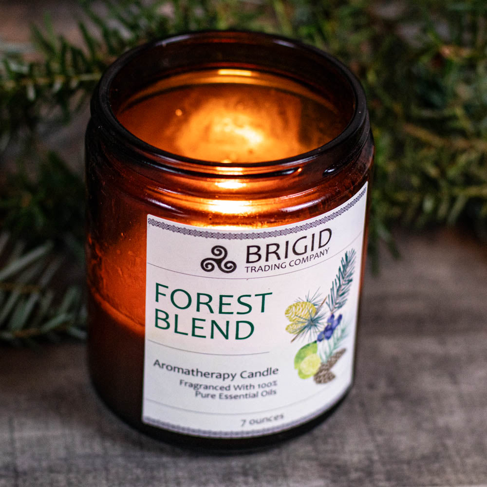 Forest Blend Soy Wax Candle - Juniper, Pine, Balsam, Cedar, and Lime | Aromatherapy Candle | Wiccan Center